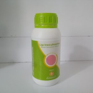 لیگو تریس فسفات (مواد معدنی + عناصر کمیاب)