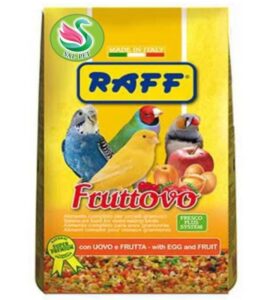غذا تخم مرغی میوه ای برای انواع پرندگان راف